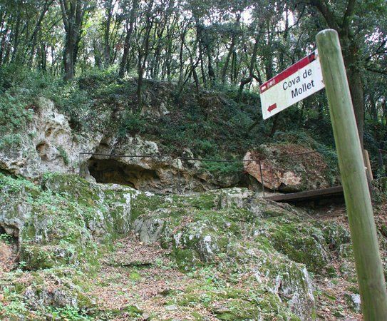 Coves de Serinya