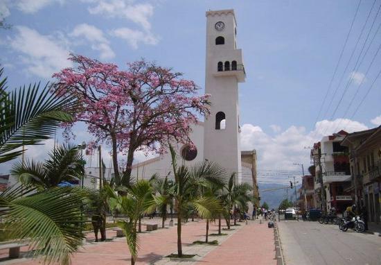 Alcaldia de Pitalito