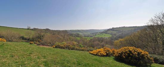 Knapp Copse Local Nature Reserve