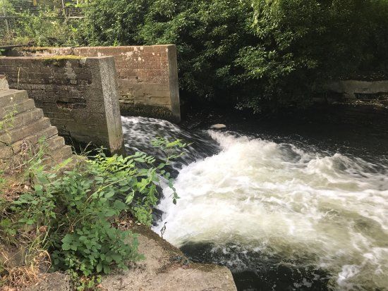 Wensum Local Nature Reserve