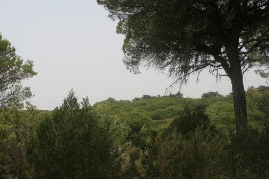 Parque Natural Las Brenas