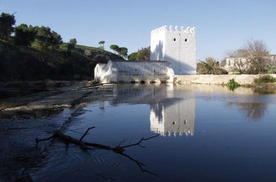 Molino de la Aceña
