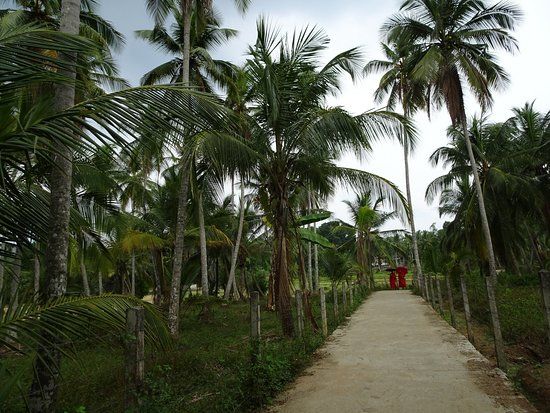 Mahamevnawa Amadahara Buddhist Monastery Pinnawala