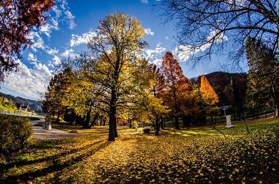 Park of Zdravilisce Lasko
