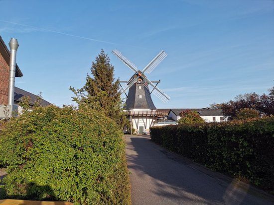 Tarp Mølle