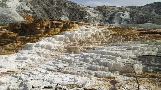 Palette Spring