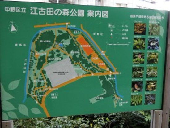 Parque Egotanomori