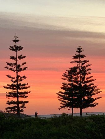 South Fremantle Dog Beach