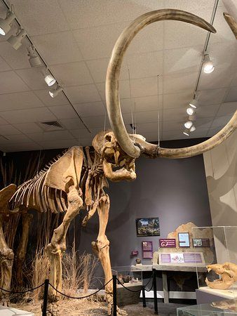 Faulkner Planetarium