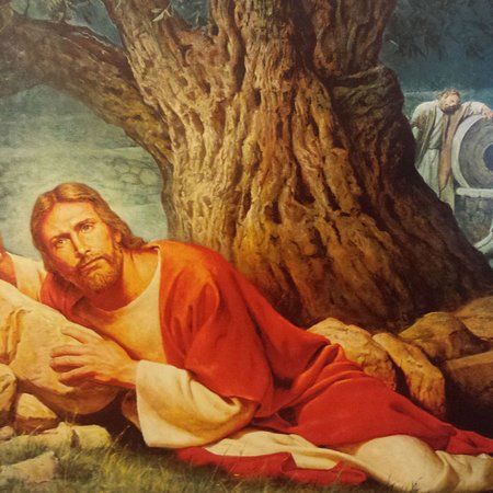 Walking with Jesus Daily Church