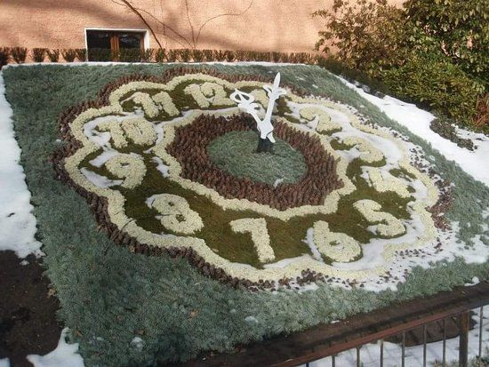 Blumenuhr