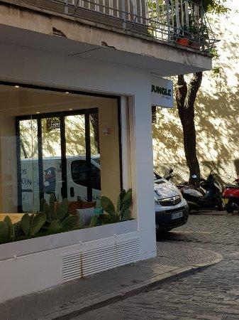 Jungle Concepto