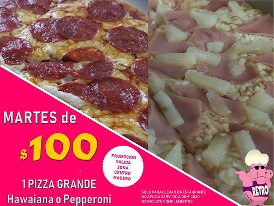 Hipopotamus Rose Retro