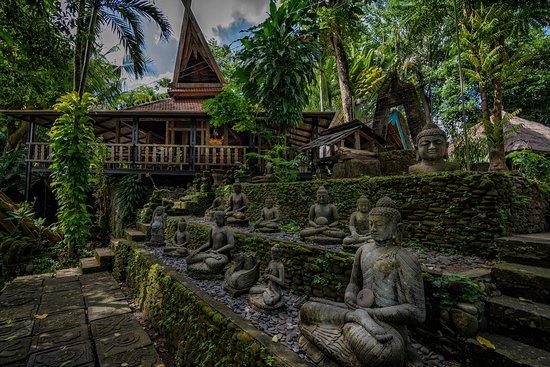 Taman Nauli