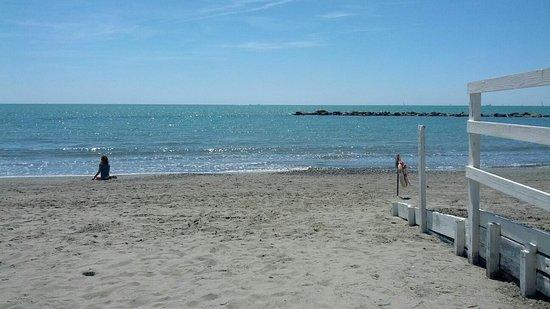 Ristorante del Bagno Il Cavallino