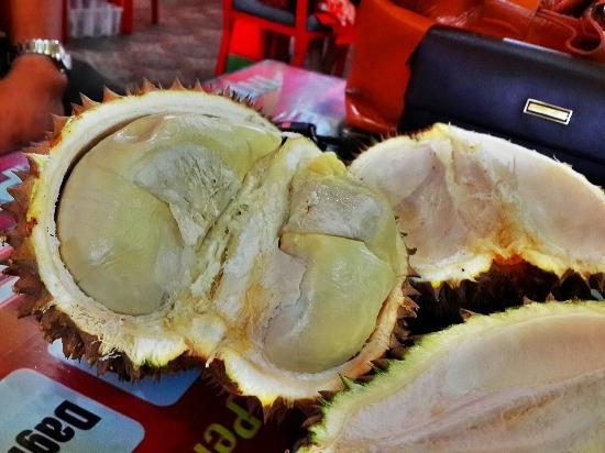 Durian Pelawi