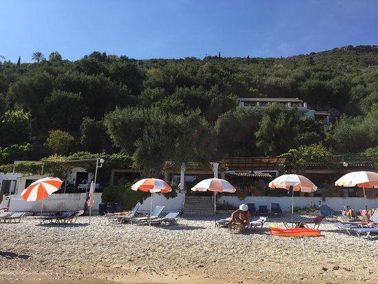 Yiannis Taverna