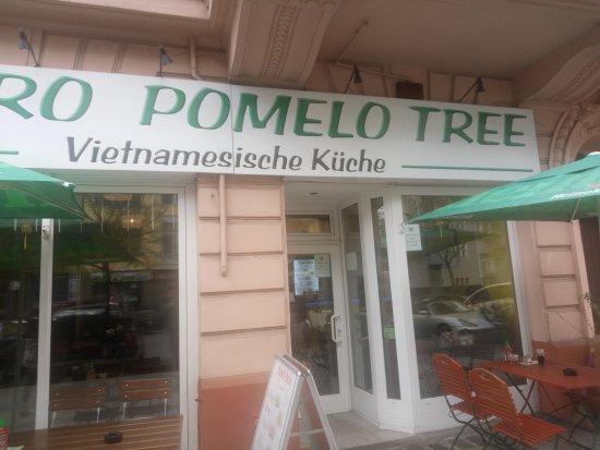 Berlin Bistro Pomelo Tree