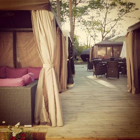 La Terrasse & Lounge