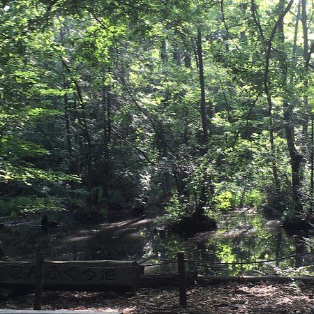 Kombukuro Pond Natural History Park