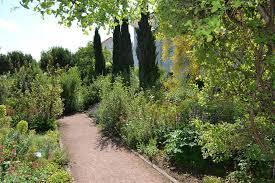 Mediterraner Garten