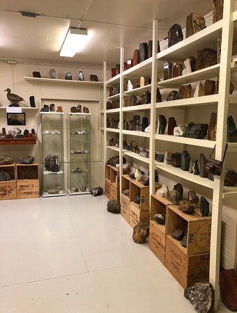 Kiddi's Workshop