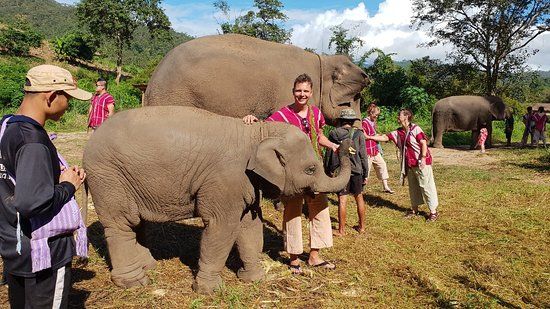 Kerchor Elephant Eco Park