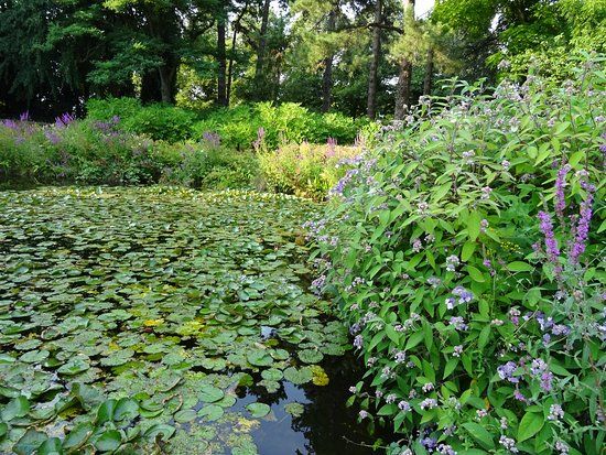 Park Oog in Al