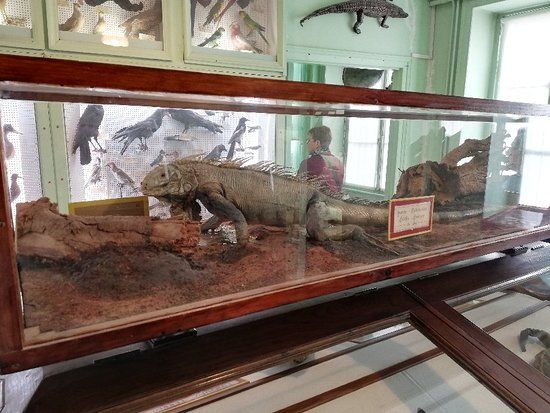 Museum Emmanuel Liais