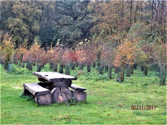 Ladybelt Country Park