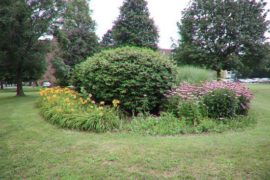 John Page Park