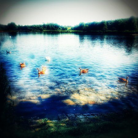 Seven Lochs Wetland Park