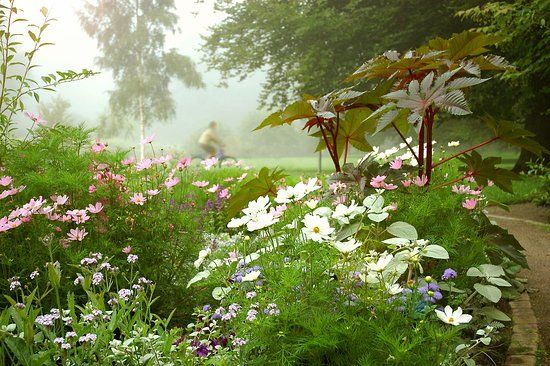 Plantaget