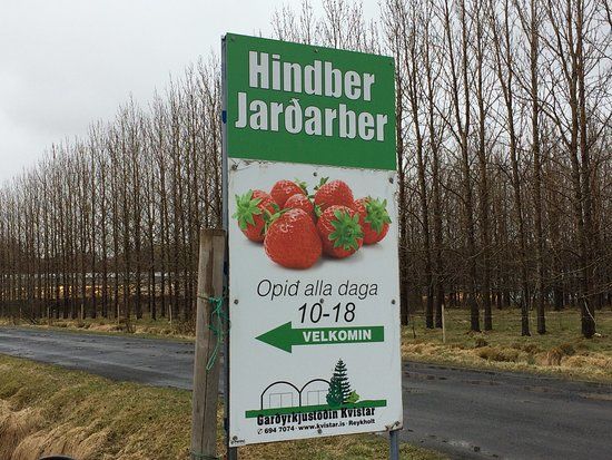 Garoyrkjustooin Kvistar