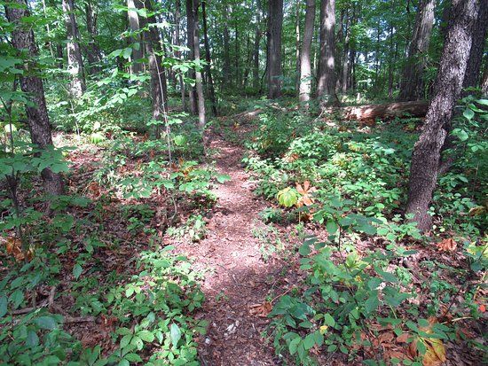 Lakewood Nature Area
