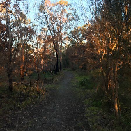 William Morris Reserve