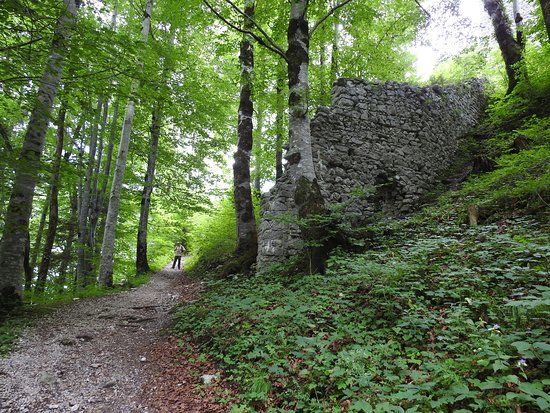 Burcht Vilsegg