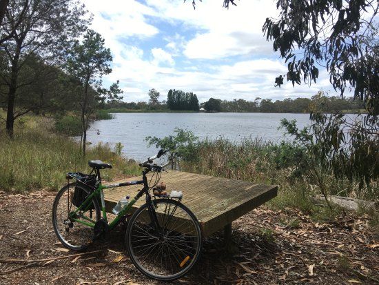 Gosling Creek Reserve