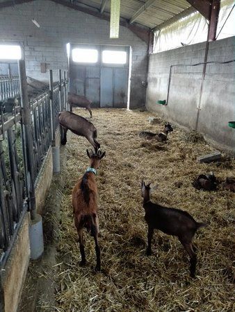 La Ferme des Divols