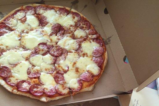 Pizza Fly
