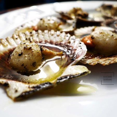 Degustación de marisco MercaMaris