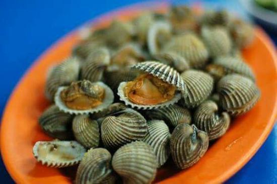 Hawaii Live Seafood