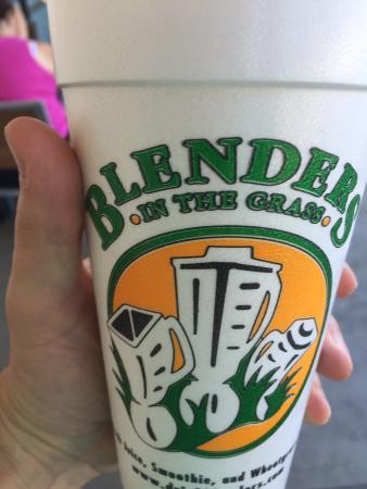 Blenders In The Grass