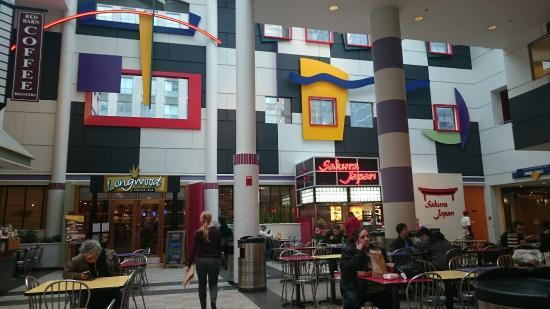 The Longwood Galleria