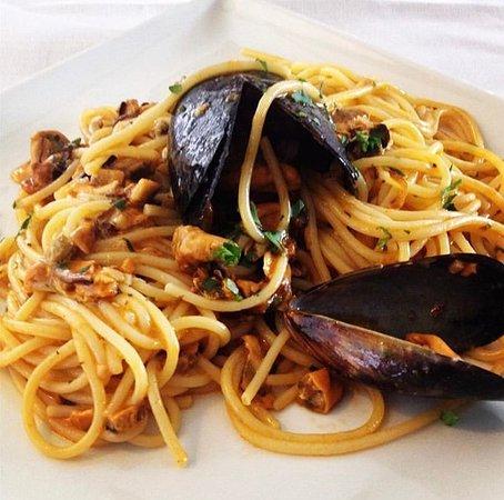 Pesci Fuor d'Acqua