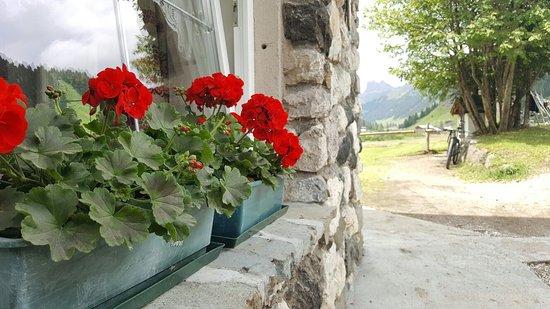 Rifugio Micheluzzi Restaurant