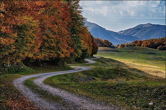 Sentiero C1 Bocca del Petroso