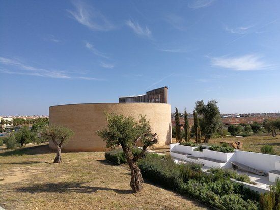 Parque Olivar del Zaudin