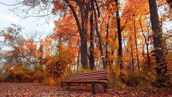 Tashkent Botanical Garden