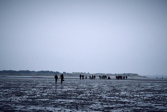 Fanø Event